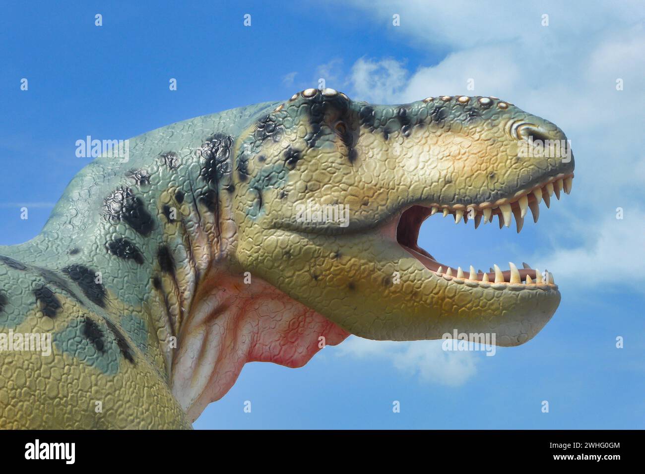 Dinosaurier unter uns Stockfoto