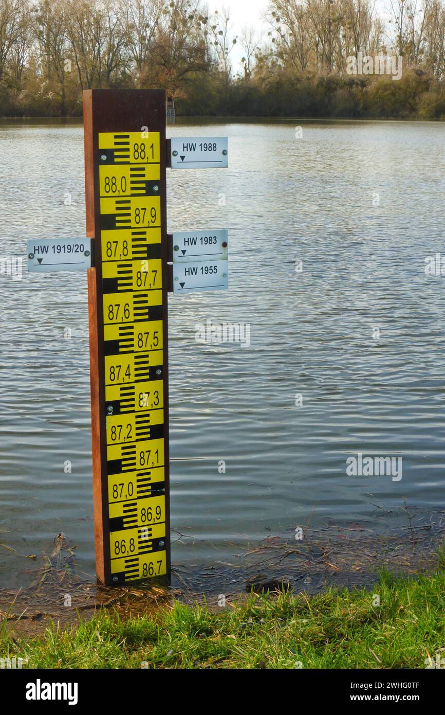 Hochwasser am Rhein bei Kornsand Stockfoto