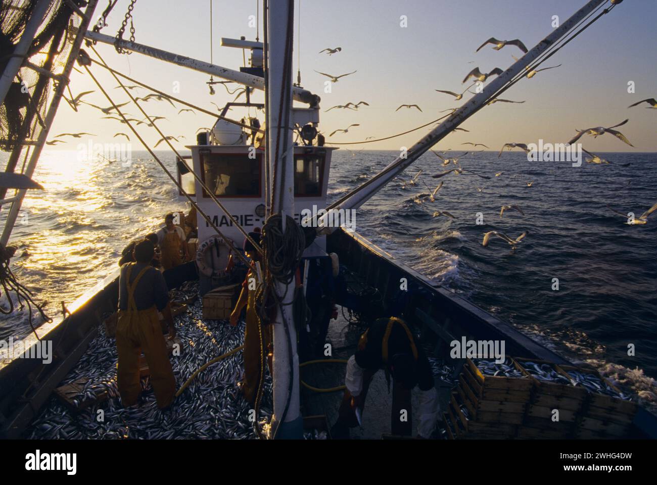 frankreich pyrenäen orientales roussillon peche au Lamparo Stockfoto