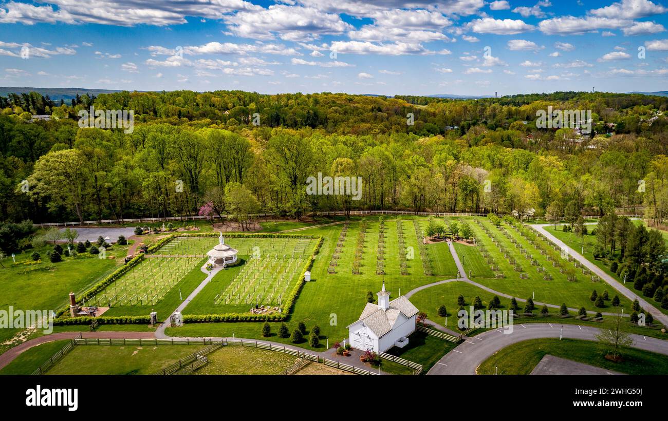 Blick aus der Vogelperspektive auf einen neuen Obstgarten und Weinberg mit einem Pavillon auf einem wunderschönen Grundstück Stockfoto