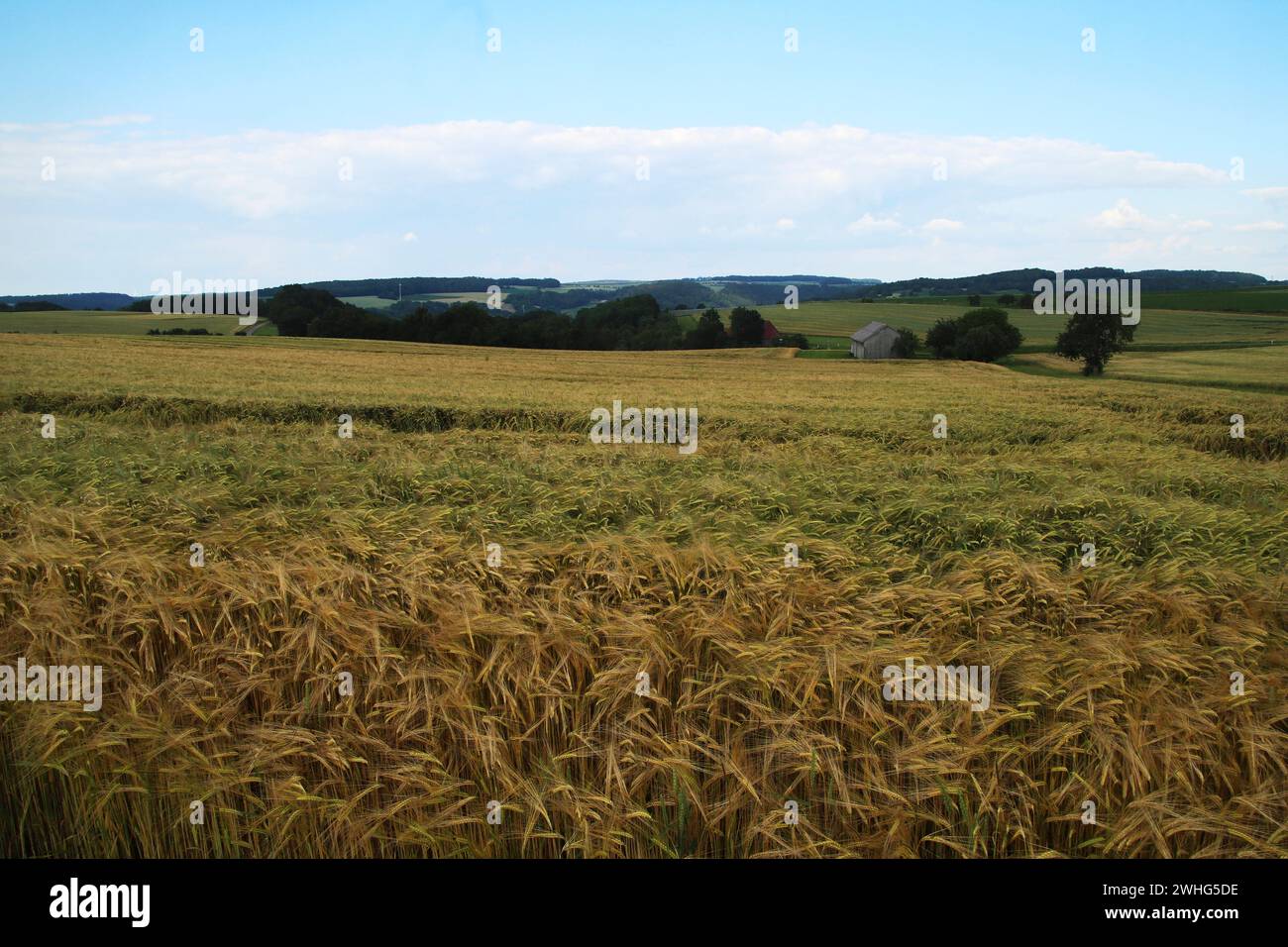 Insel Mauritius, Indischer Ozean, Afrika Stockfoto