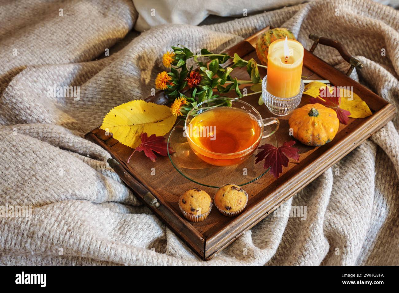 Eine Tasse Tee, bunte Herbstblätter, Dekoration und eine Kerze serviert auf einem Holztablett auf einer warmen Wolldecke auf dem Sofa, Coz Stockfoto
