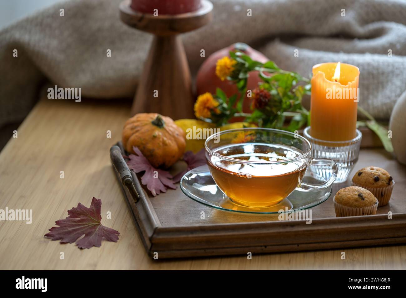 Gesunder heißer Tee gegen Kälte und Grippe auf einem Holztablett mit Keksen, Kerze und Herbstdekoration, ausgewählter Fokus Stockfoto