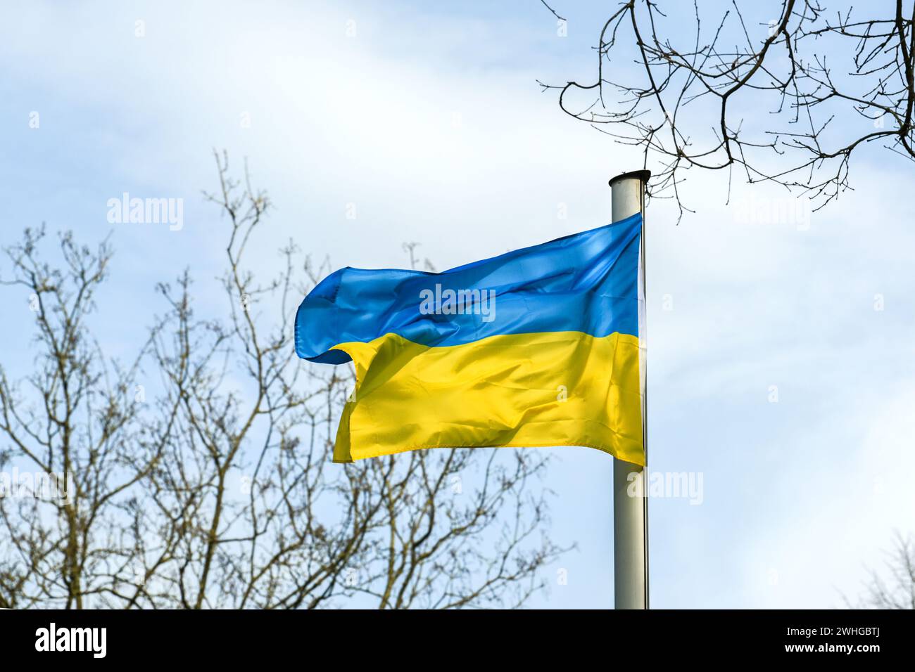 Flagge der Ukraine mit blauen und gelben Streifen, die zwischen Bäumen vor bewölktem Himmel wehen, Kopierraum, ausgewählter Fokus Stockfoto