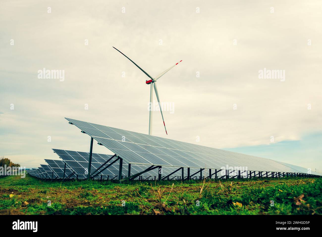 Sonnenkollektoren und eine Windturbine auf einem Feld. Solarkraftwerk in einer stimmungsvollen Landschaft Stockfoto