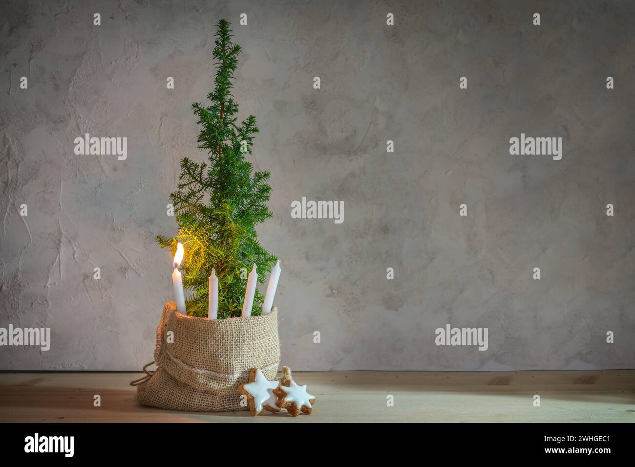 Alternativer Adventskranz, eine Kerze mit einer Flamme auf einer kleinen Nadelpflanze als Christbaumsymbol angezündet, großer Kopierraum Stockfoto
