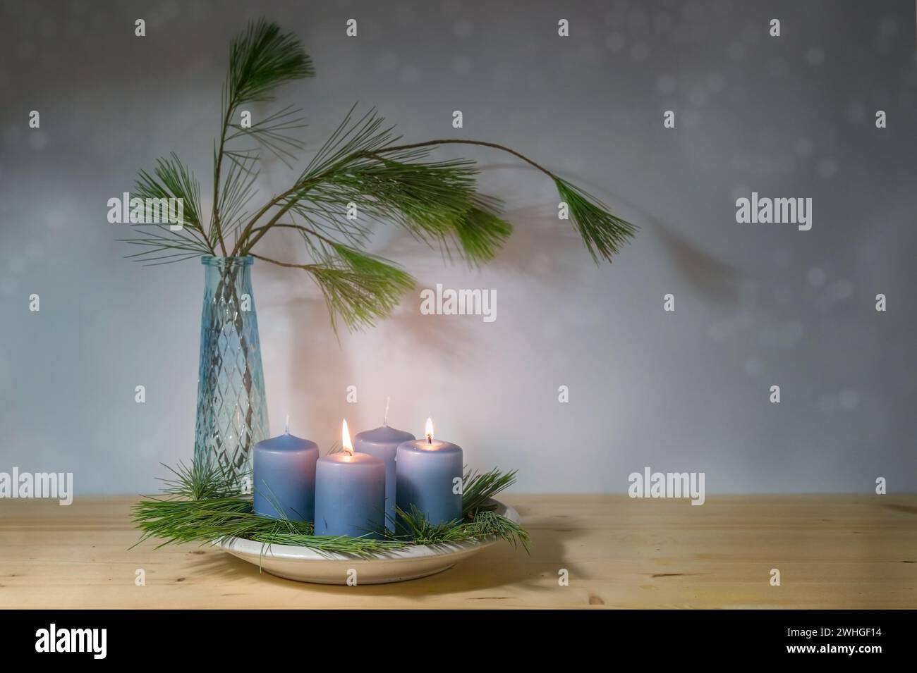Blaue Kerzen, zwei werden für den zweiten Advent angezündet, und eine Vase mit Kiefernzweigen, moderne Dekoration in der Weihnachtszeit, Kopie Stockfoto