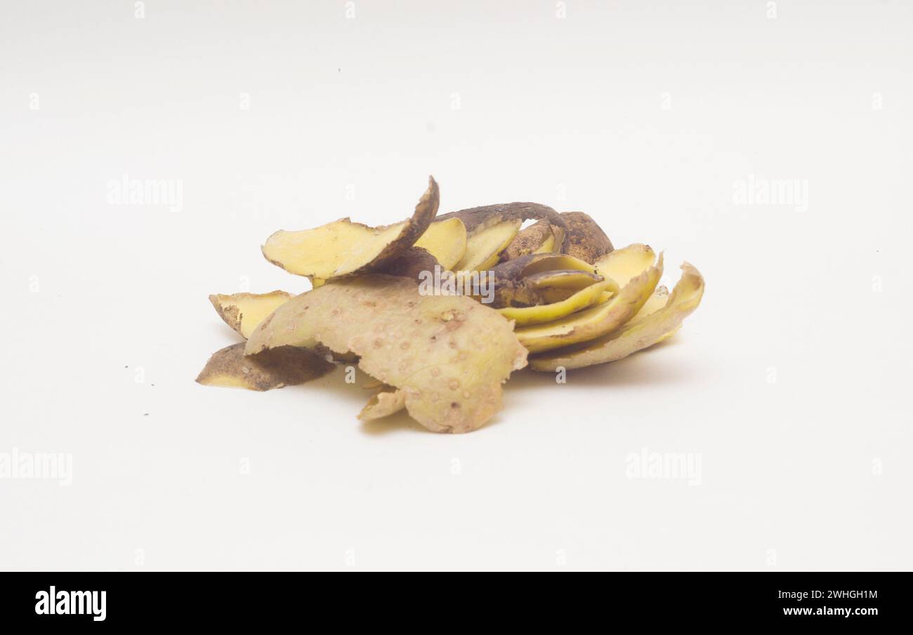 Ein Haufen verfaulter Kartoffelhäute auf weißem Hintergrund. Stockfoto