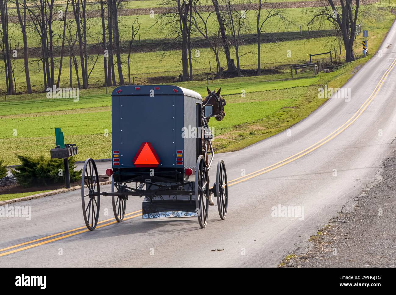 Blick auf ein Amish-Pferd und Buggy, das an einem Dezembertag auf einer Landstraße einen Hügel hinunter fährt Stockfoto