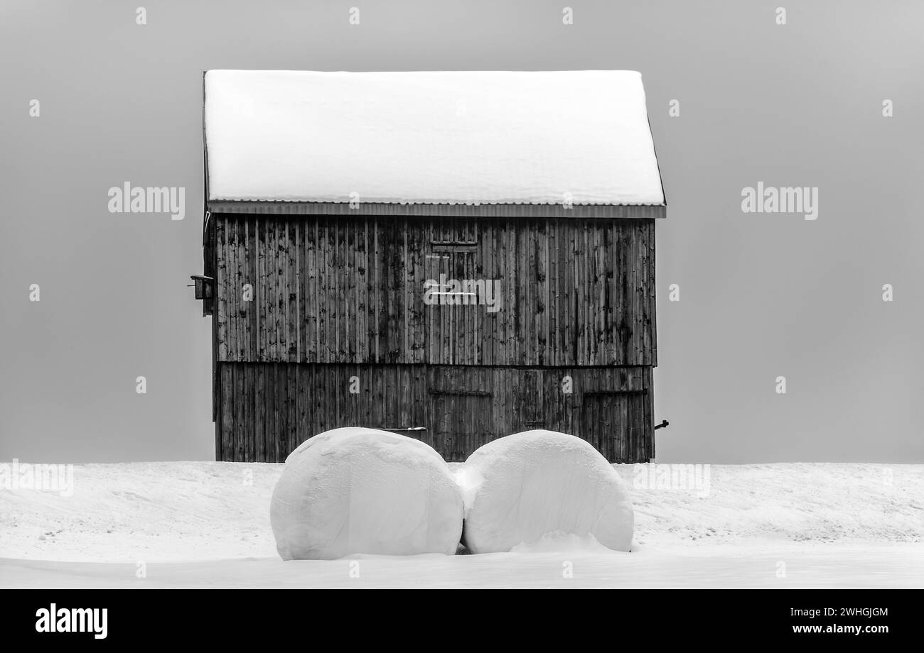 Silageballen vor der alten Scheune Stockfoto