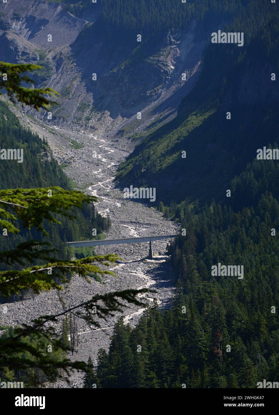 Glacier and River im Mount Rainier National Park, Washington Stockfoto