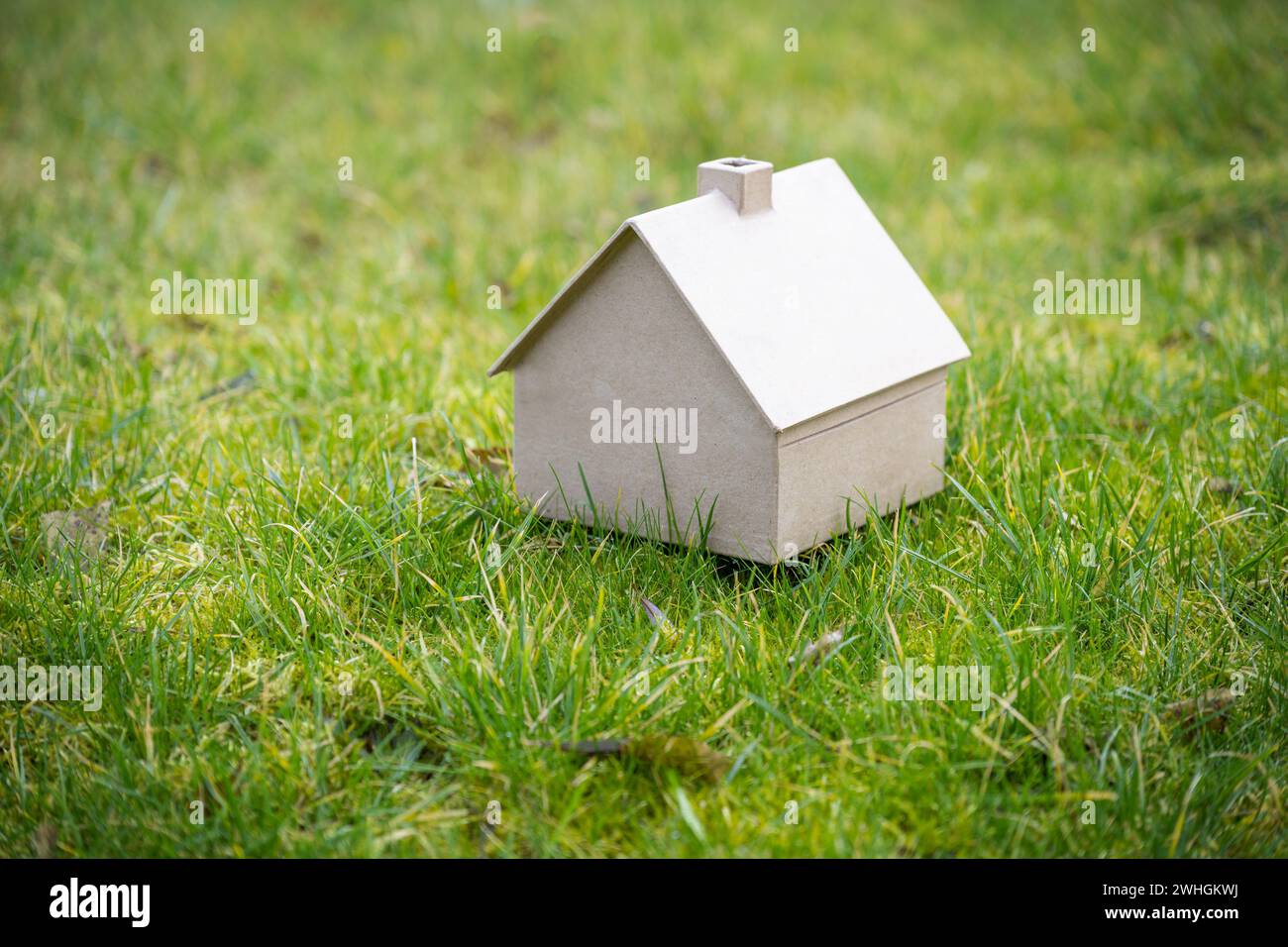 Kleines Haus aus Pappe auf grüner Wiese, Wohnkonzept, Immobilien und Architektur, Kopierraum, ausgewählter Fokus, Stockfoto