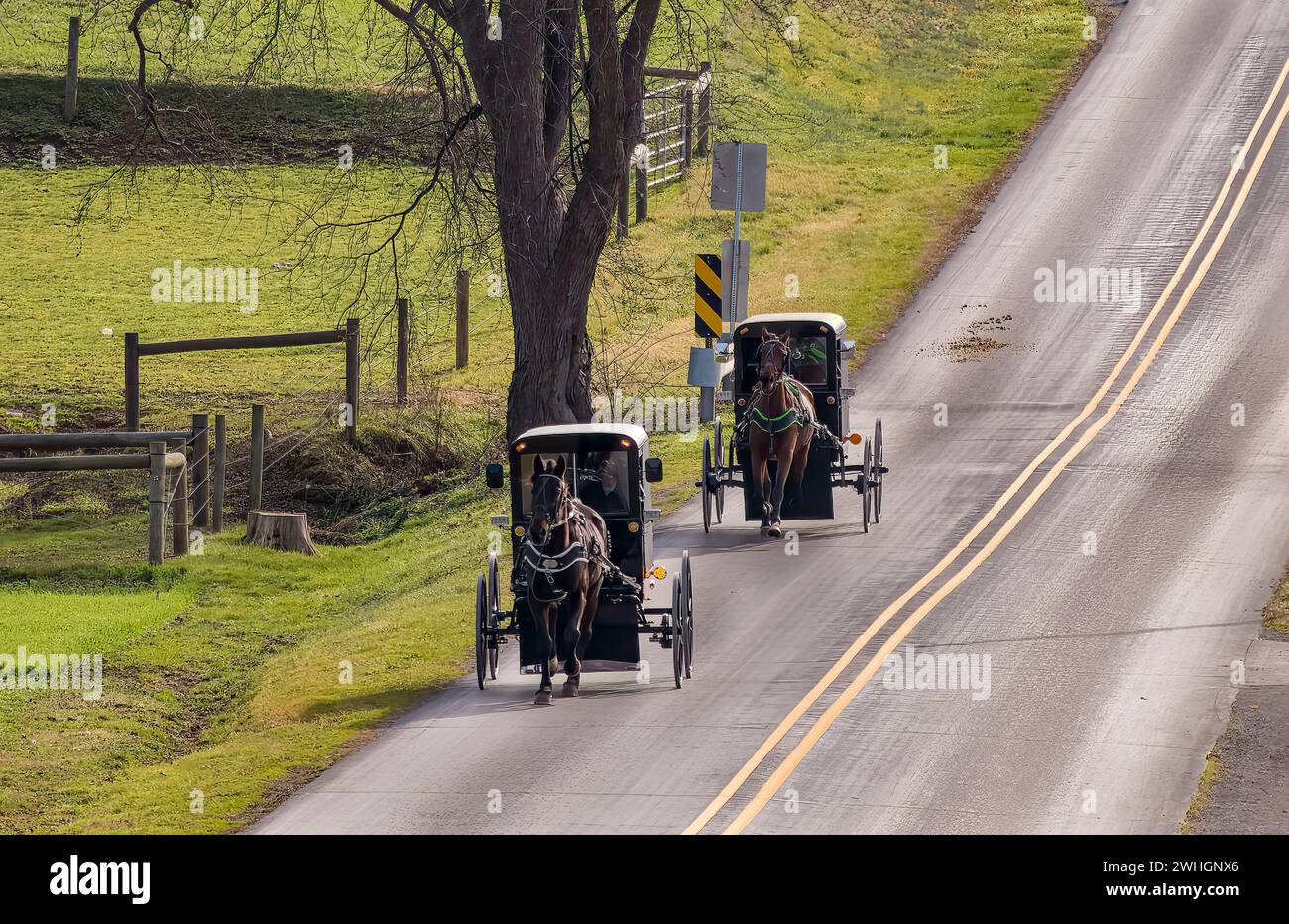 Blick auf zwei Amish Horse und Buggies, die auf einer Landstraße durch Farmland fahren Stockfoto