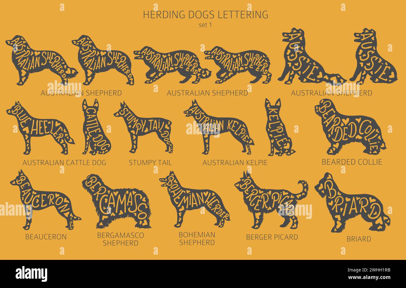 Der Hund züchtet Silhouetten mit Schriftzug, schlichtem Clipart. Hüterhunde, Schäferhunde, Schäfer-Sammlung. Vektorabbildung Stock Vektor