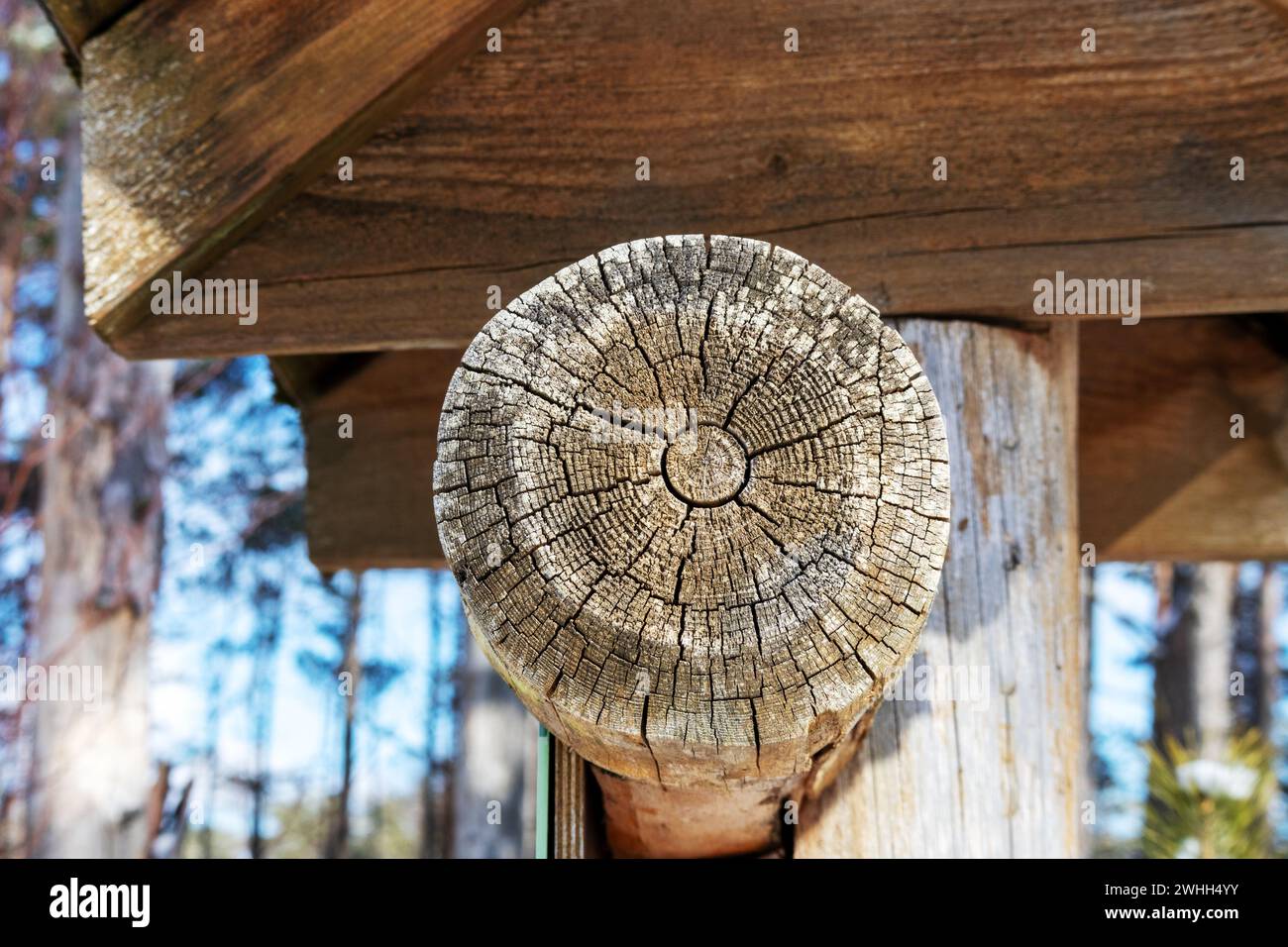 Ein Holzschuppen mit einem gerissenen Holzende Stockfoto