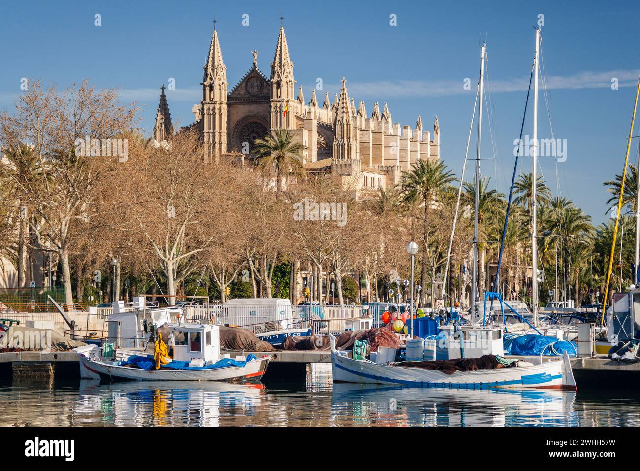 Kathedrale von Palma ab Moll de la Riba Stockfoto