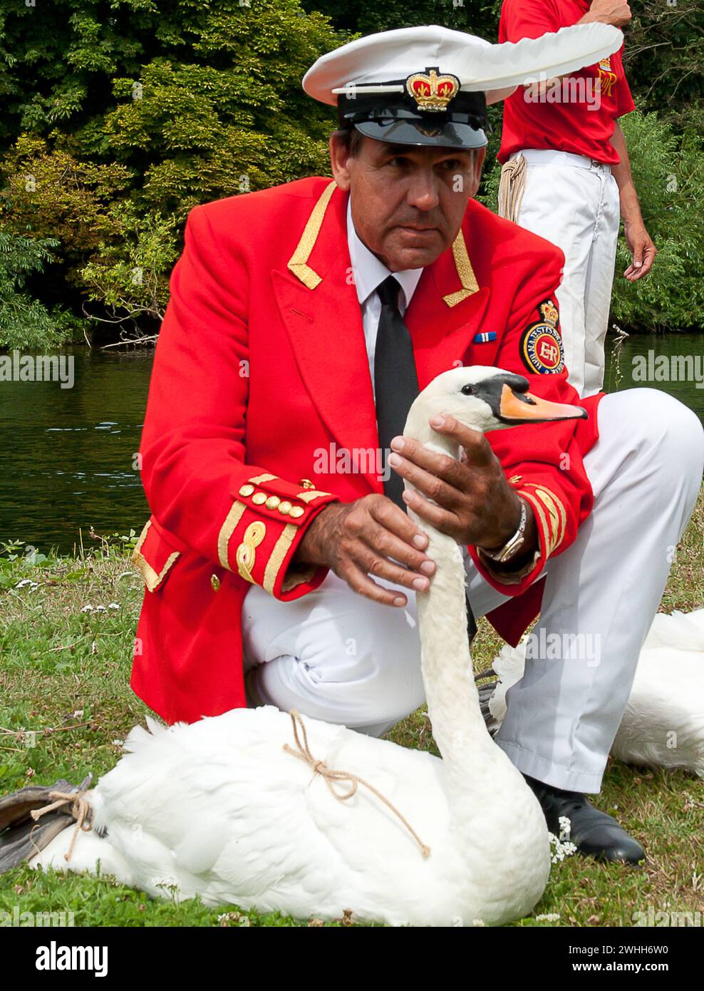 Windsor, Berkshire, Großbritannien. Juli 2010. David Barber, der Schwan-Marker der Königin. Der jährliche Schwan-Auftrieb auf der Themse in Windsor, Berkshire. Kredit: Maureen McLean/Alamy Stockfoto