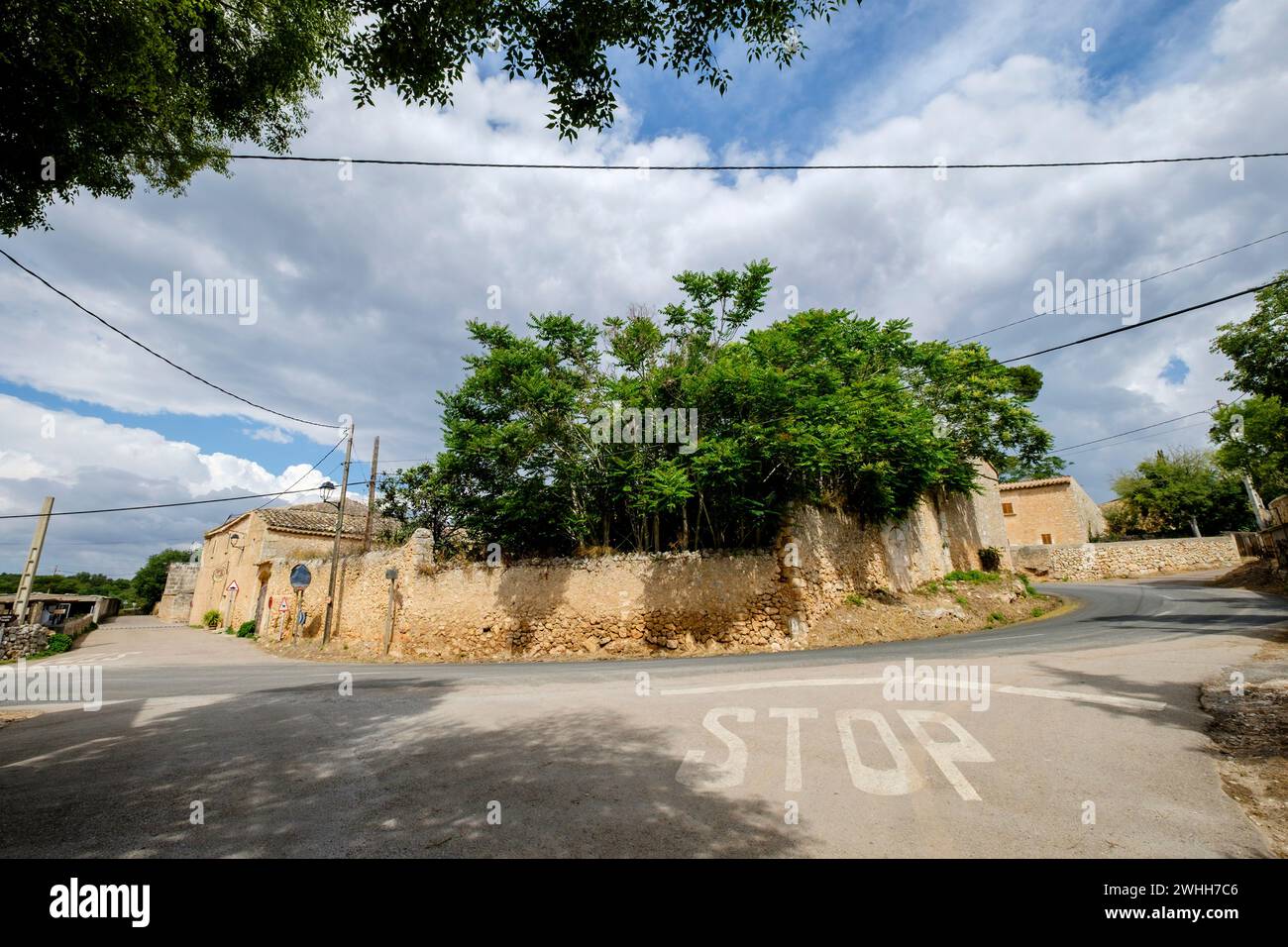 Cas Canar Stockfoto