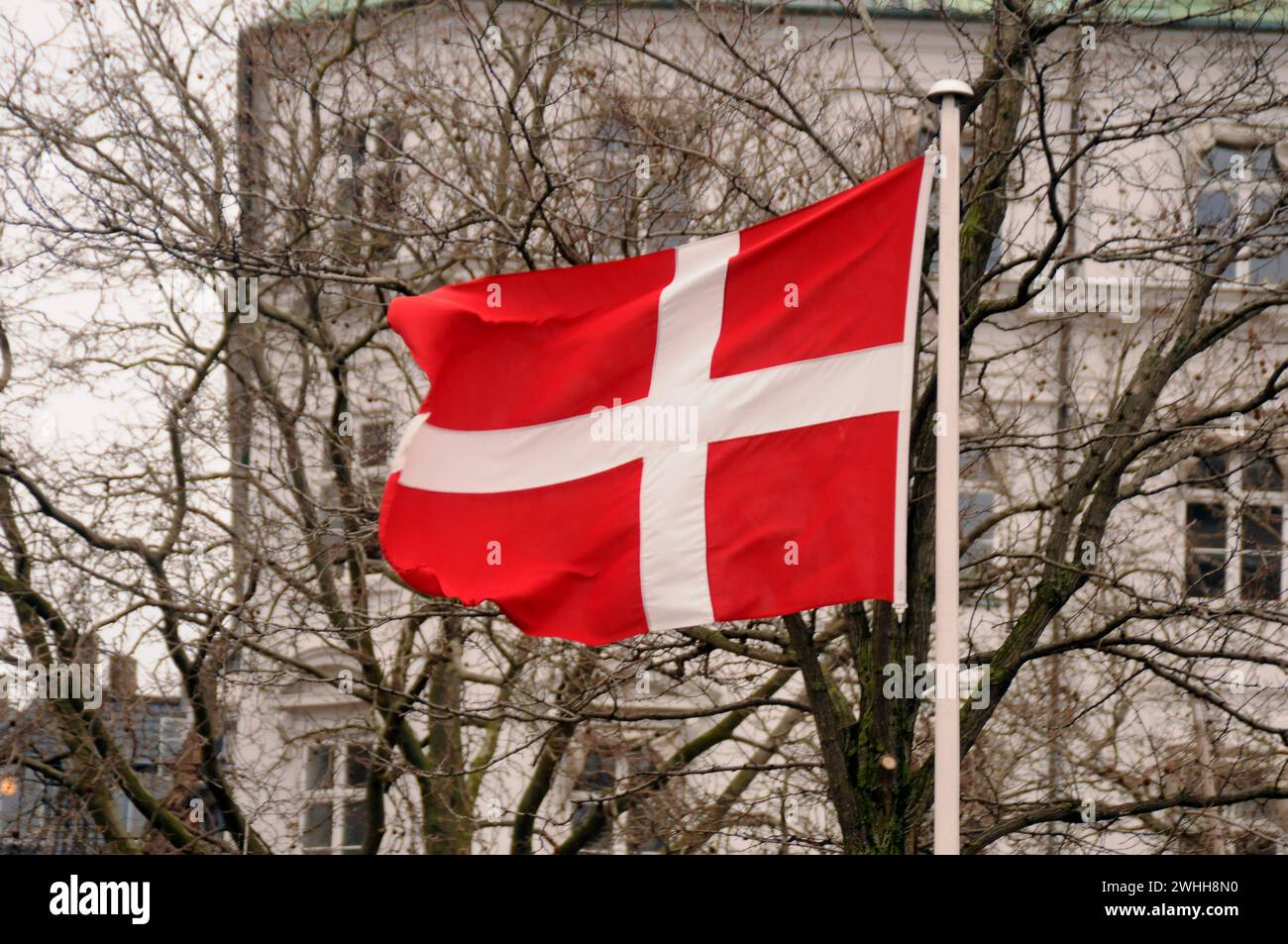 Luxus Danische Flagge 8 Buchstaben Fotos