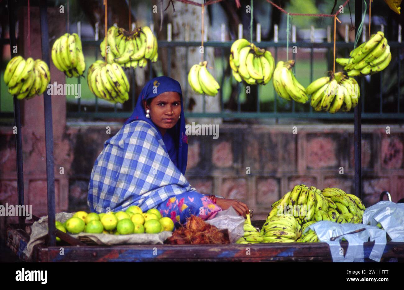 91AV0213.jpg Stockfoto