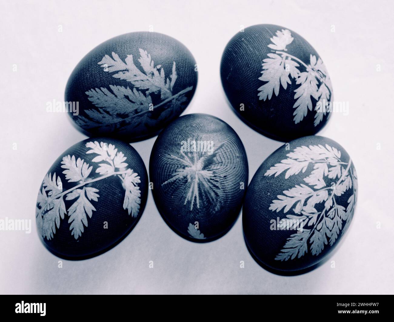 Fünf Eier mit Blattmuster auf weißer Oberfläche. Stockfoto