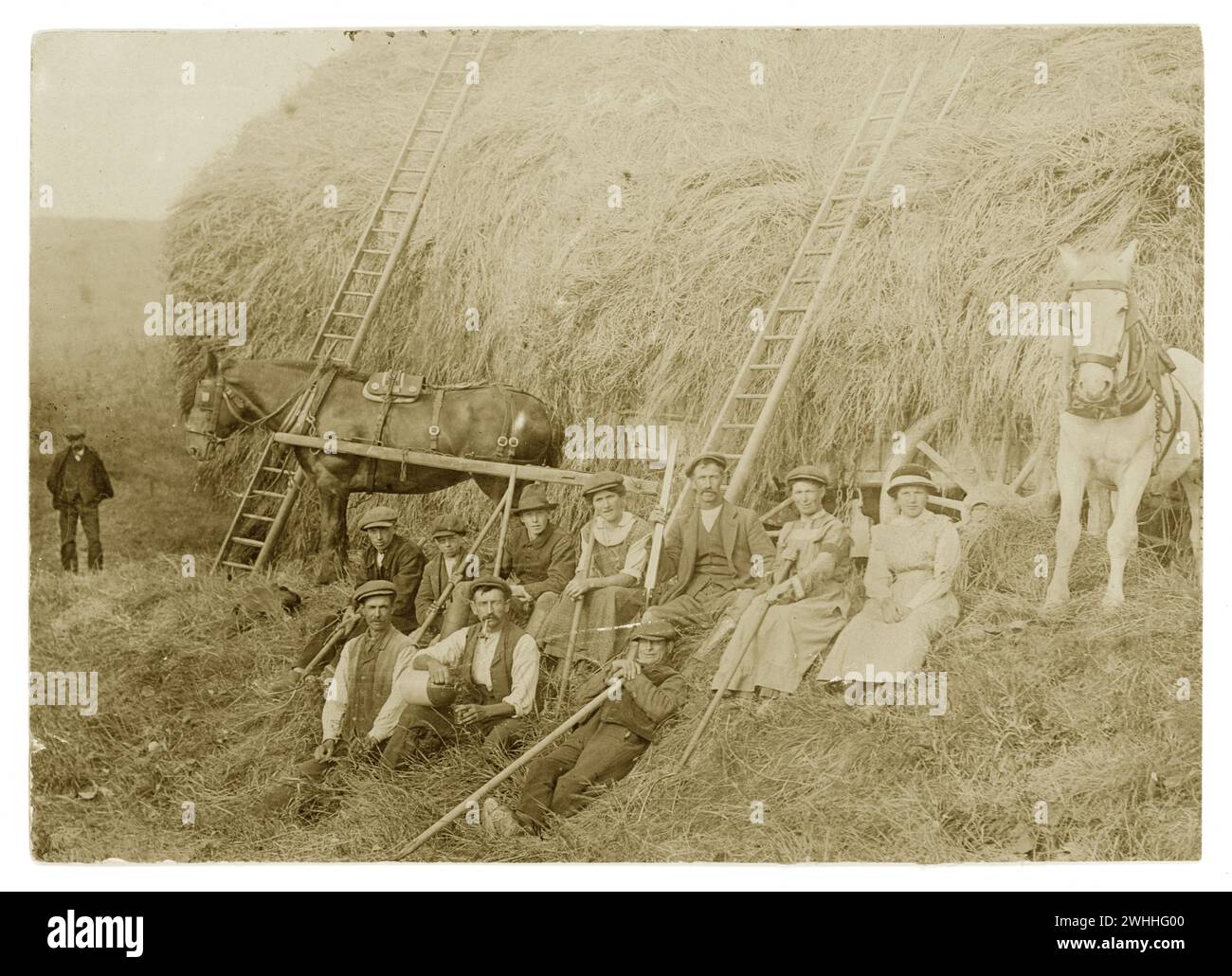 Die erste Postkarte aus der Zeit des 1. Weltkriegs war eine Ernteszene mit Landarbeitern. Eine davon ist ein Landarmeermädchen, das ein dreimonatiges Armband trägt. Auf der Rückseite steht Preston Court Farm unbekannter Ort. Vom 1916 Stockfoto