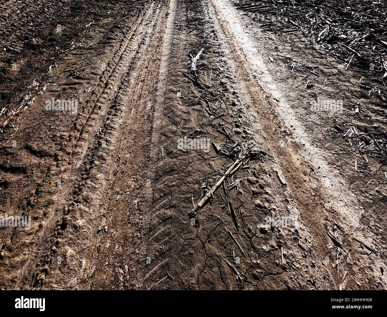 Die Abbildung zeigt Reifenspuren auf matschigem Untergrund mit verstreuten trockenen Zweigen und Blättern. Stockfoto