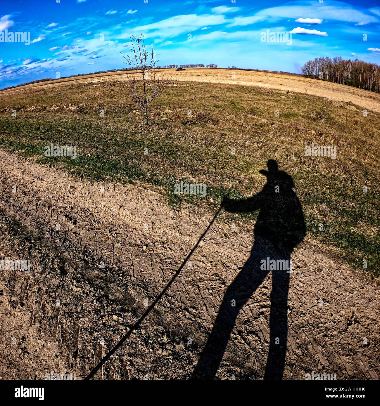 Ein Schatten einer Person mit einem Stock wird auf den Boden geworfen, mit einem kargen Baum und einem weitläufigen Feld unter einem blauen Himmel im Hintergrund. Stockfoto