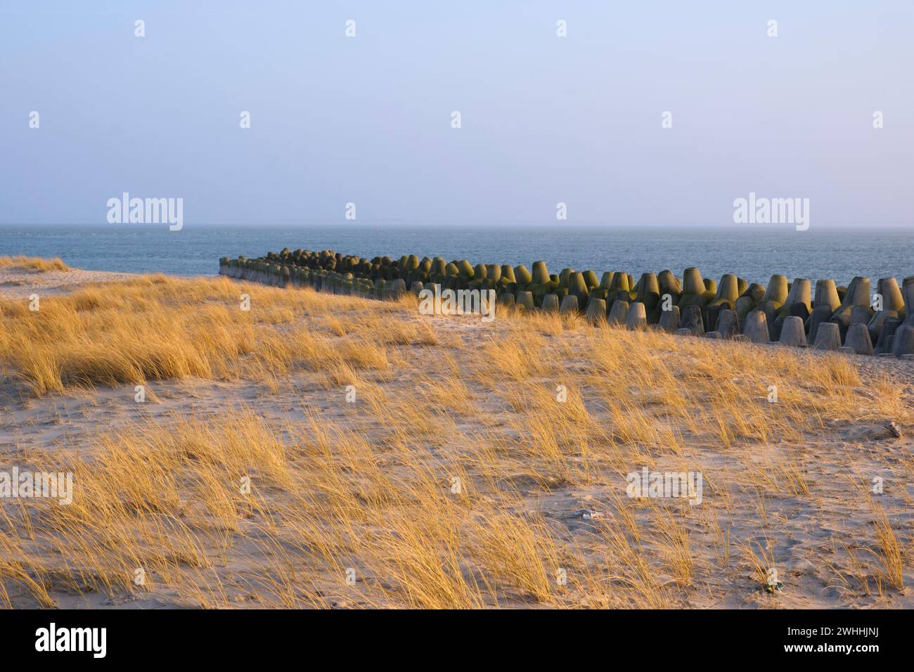 Wellenbrecher an der Küste von Sylt Stockfoto