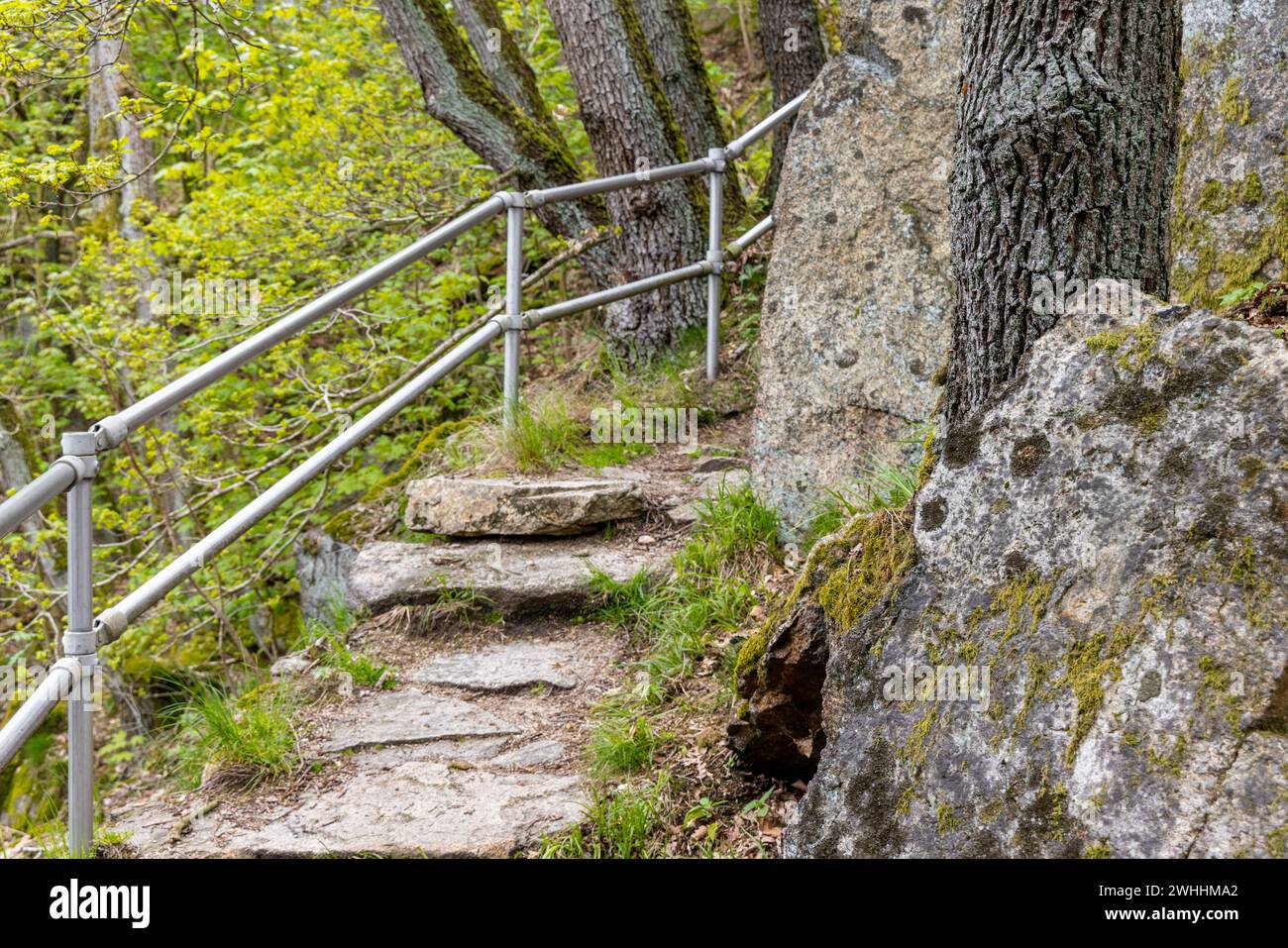 Thale Bodetal Hexens Tanzfläche Stockfoto