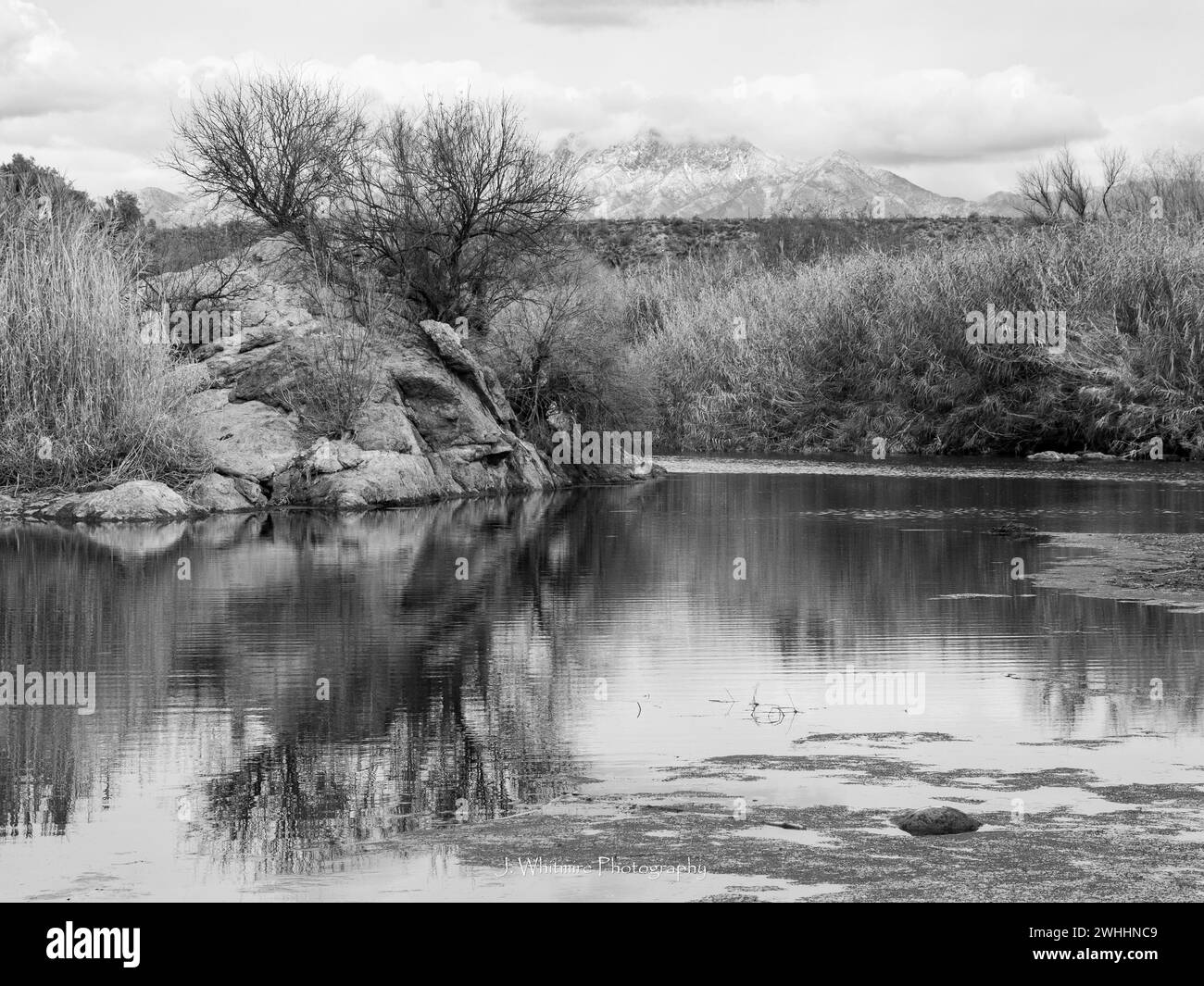 Die Sonora-Wüste bietet im Winter kühleres Wetter für die Metro von Phoenix, Arizona und gelegentliche Schneefälle auf den umliegenden Gipfeln. Stockfoto