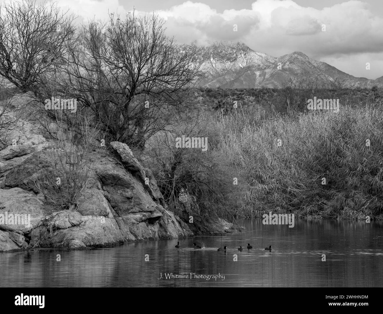 Die Sonora-Wüste bietet im Winter kühleres Wetter für die Metro von Phoenix, Arizona und gelegentliche Schneefälle auf den umliegenden Gipfeln. Stockfoto