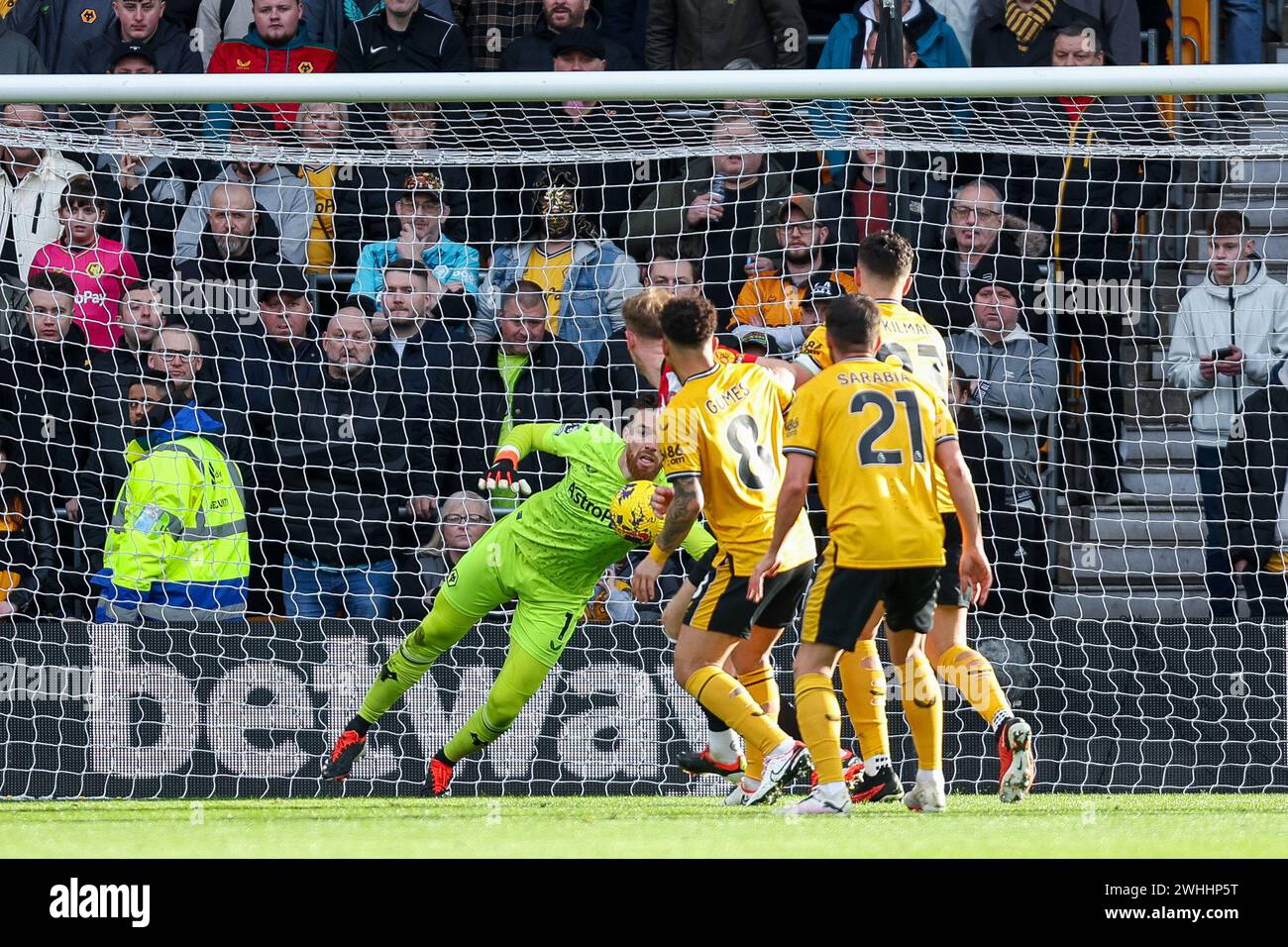 Wolverhampton, Großbritannien. Februar 2024. Der Torhüter der Wölfe, José Sá, blockiert den Schuss, um die Besucher während des Premier League-Spiels zwischen Wolverhampton Wanderers und Brentford in Molineux, Wolverhampton, England am 10. Februar 2024 zu verwehren. Foto von Stuart Leggett. Nur redaktionelle Verwendung, Lizenz für kommerzielle Nutzung erforderlich. Keine Verwendung bei Wetten, Spielen oder Publikationen eines einzelnen Clubs/einer Liga/eines Spielers. Quelle: UK Sports Pics Ltd/Alamy Live News Stockfoto