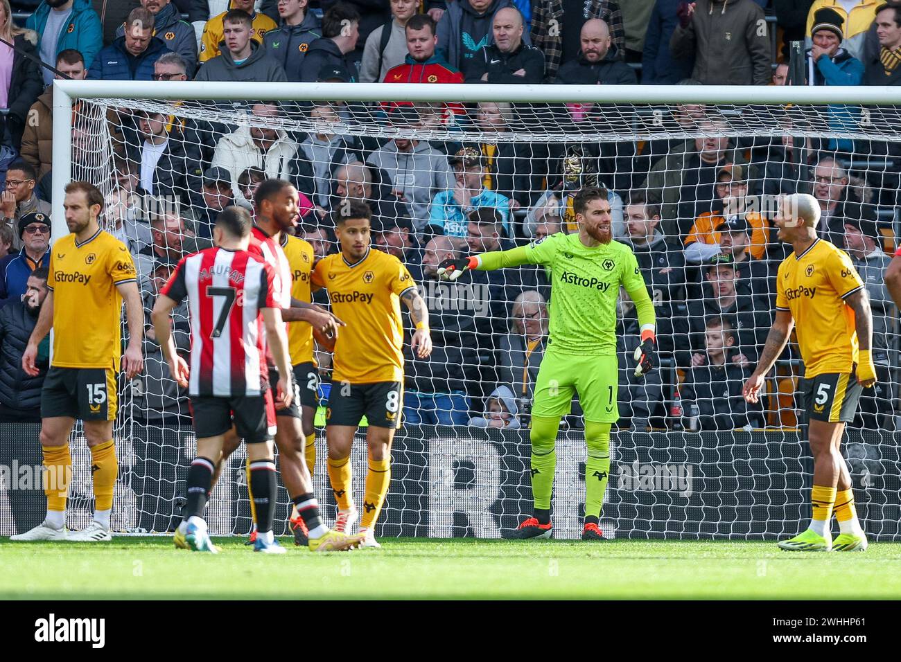 Wolverhampton, Großbritannien. Februar 2024. Der Torhüter der Wölfe José Sá positioniert seine Verteidigung während des Premier League-Spiels zwischen den Wolverhampton Wanderers und Brentford am 10. Februar 2024 in Molineux, Wolverhampton, England. Foto von Stuart Leggett. Nur redaktionelle Verwendung, Lizenz für kommerzielle Nutzung erforderlich. Keine Verwendung bei Wetten, Spielen oder Publikationen eines einzelnen Clubs/einer Liga/eines Spielers. Quelle: UK Sports Pics Ltd/Alamy Live News Stockfoto