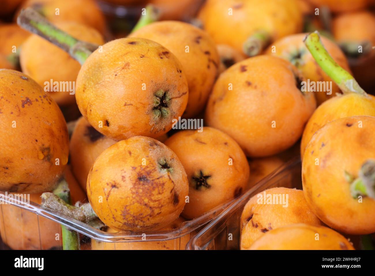 Orangenloquat-Früchte (Eriobotrya japonica) zum Verkauf auf einem Markt, Vollrahmen, ausgewählter Fokus, enge Tiefe des Feldes Stockfoto