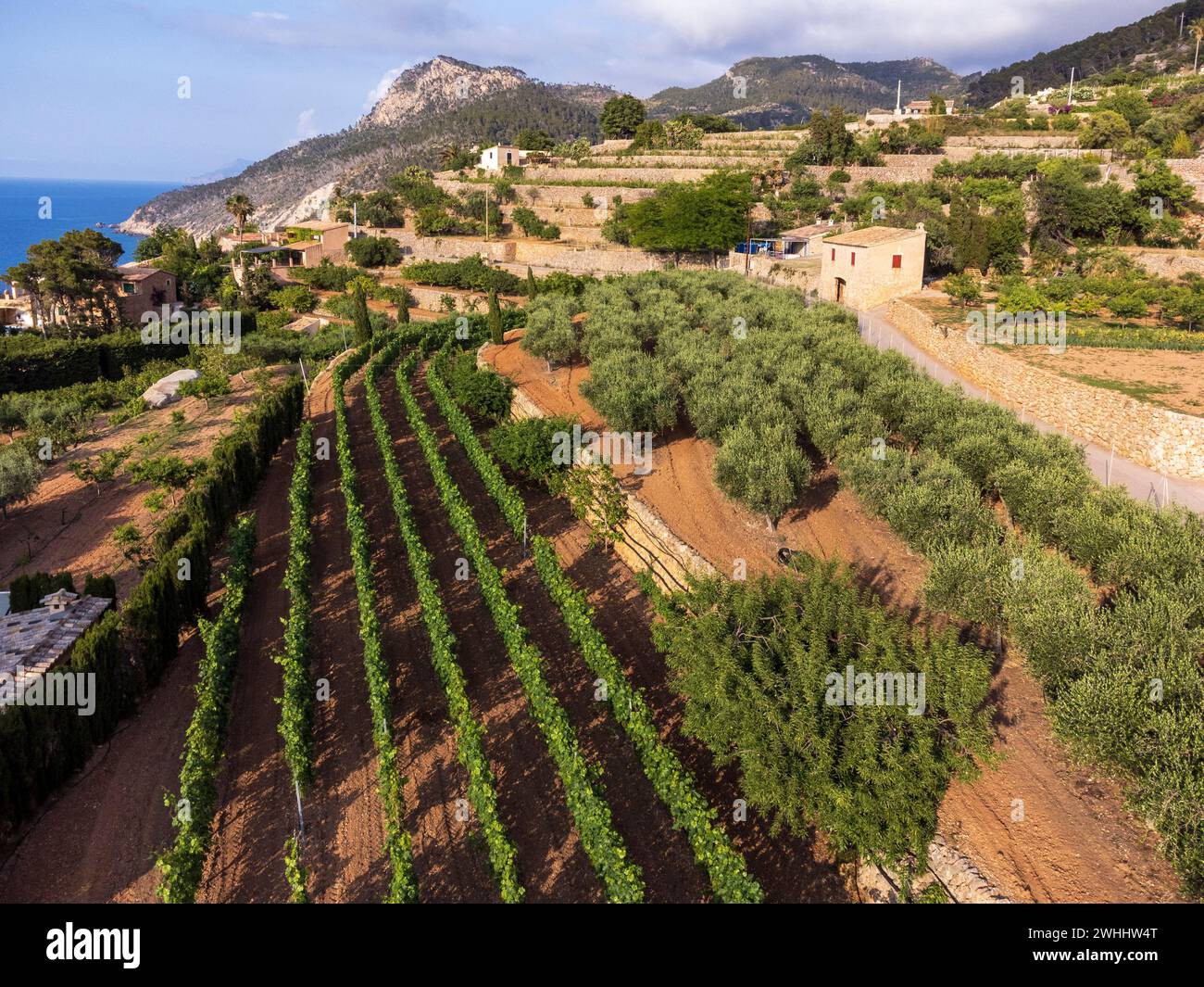 Anbauterrassen Stockfoto