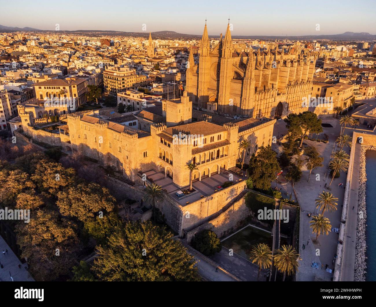 Königlicher Palast von La Almudaina und Kathedrale von Palma Stockfoto