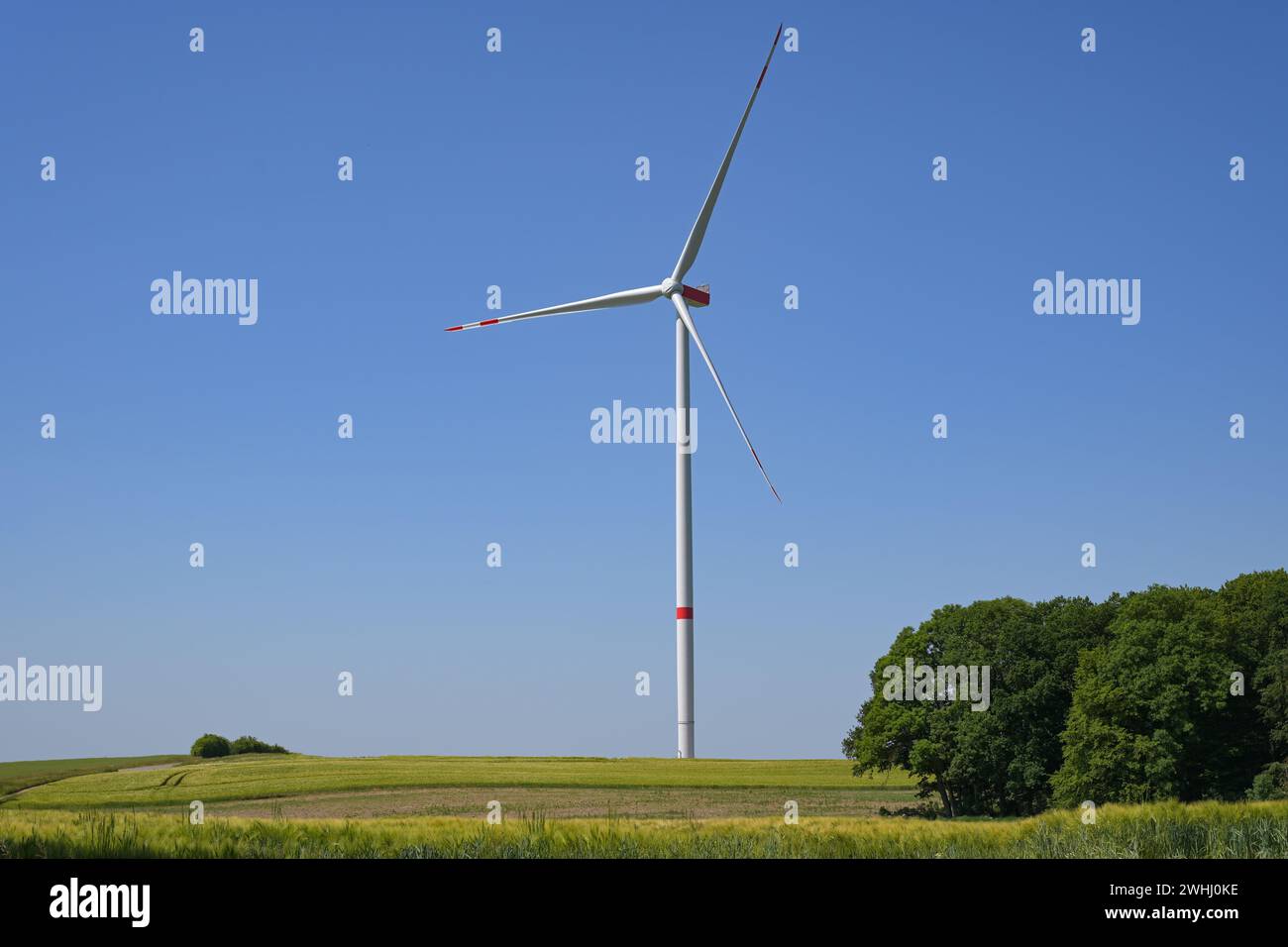 Hohe Windkraftanlage mit schlankem Turm und drei Rotorblättern, die auf einem Feld in einer ländlichen Landschaft vor dem blauen Himmel stehen Stockfoto