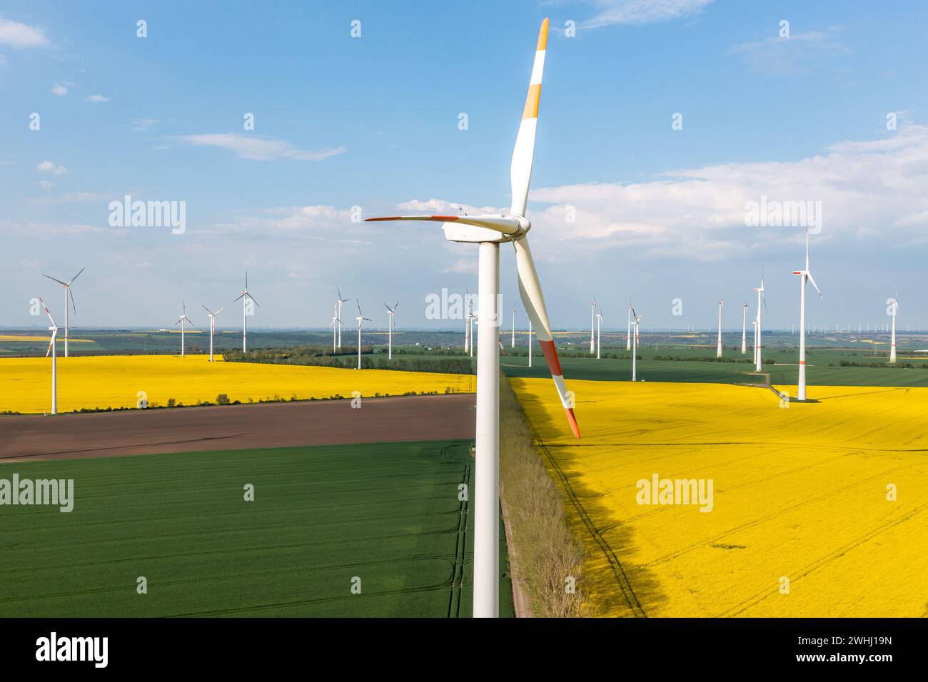 Grüne Energieerzeugung Windturbinen in einer Landschaft mit Rapsfeldern Stockfoto