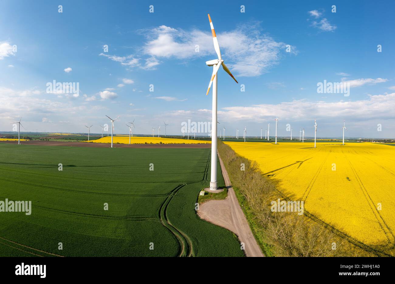 Grüne Energieerzeugung Windturbinen in einer Landschaft mit Rapsfeldern Stockfoto