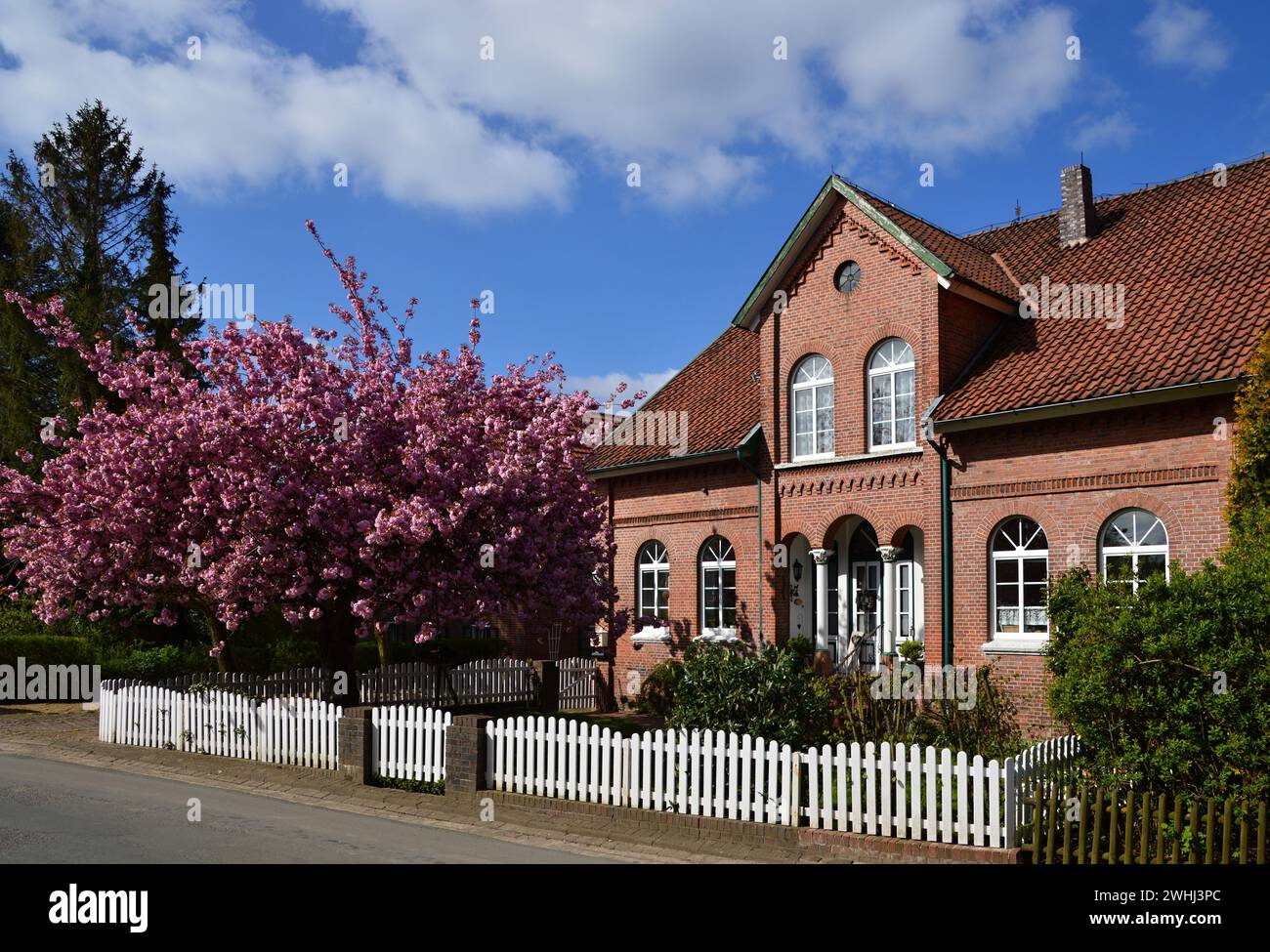 Historisches Gebäude im Frühling in der Altstadt, Guderhandviertel, Niedersachsen Stockfoto