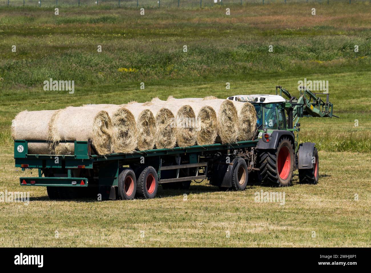 Landwirt bei der Heuernte Stockfoto