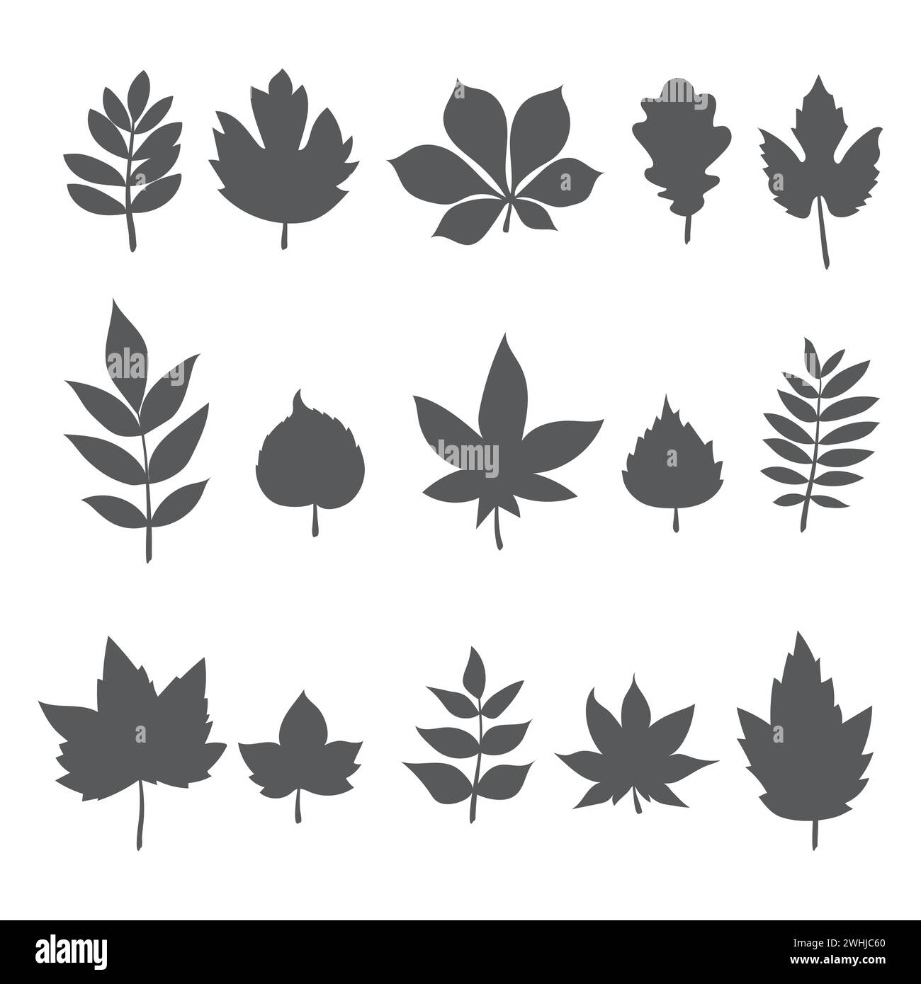 Silhouetten von Baumblättern. Herbstblattskollektion. Vektorabbildung Stock Vektor