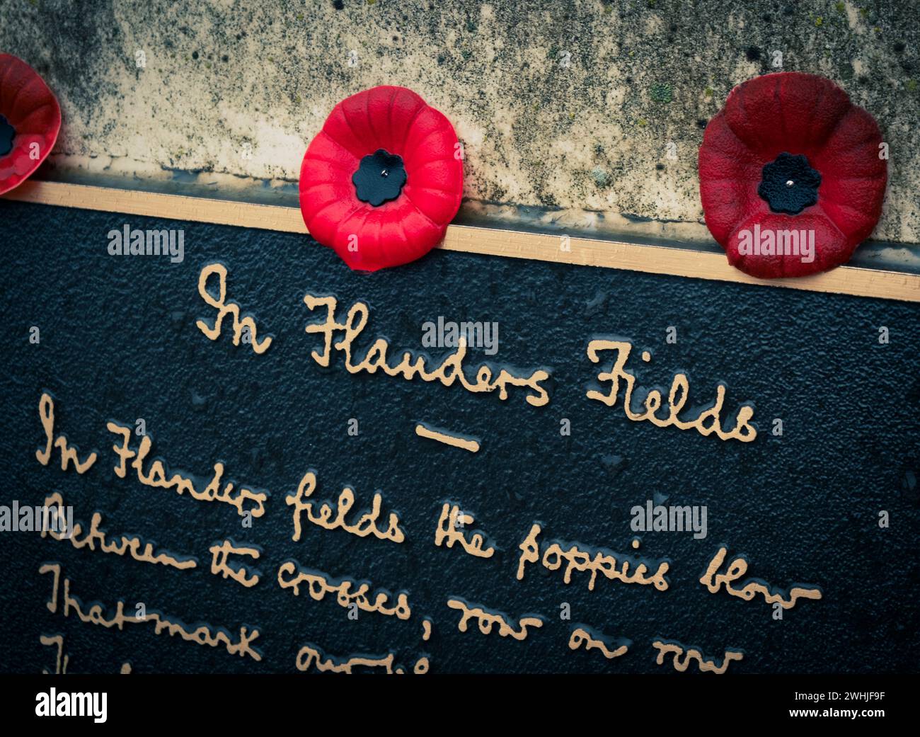 Mohnblumen auf dem Denkmal für den kanadischen Lieutenant-Colonel John McCrae, der das Kriegsgedicht in Flanders Fields schrieb Stockfoto