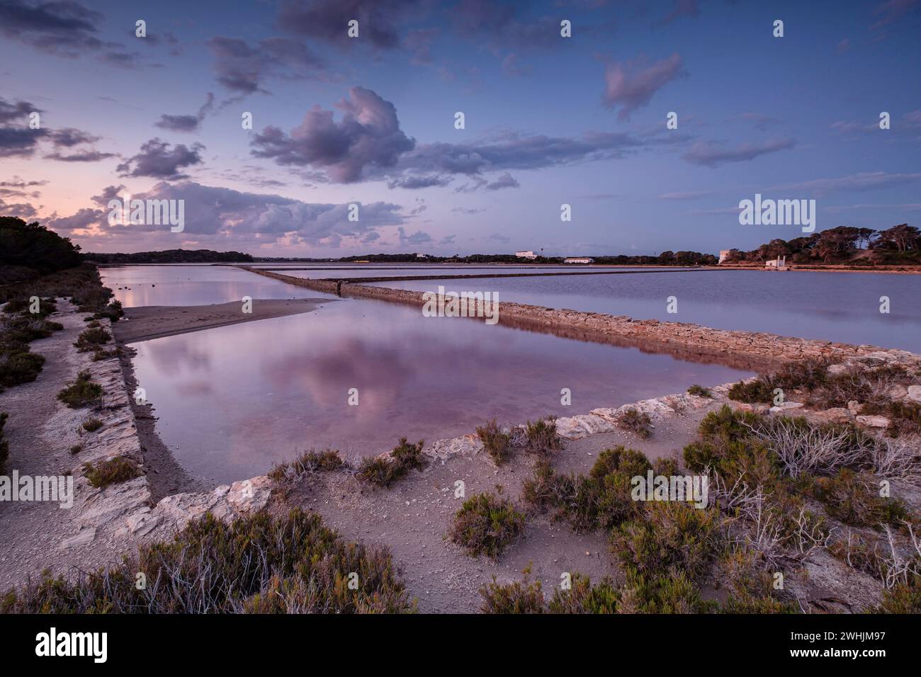 Parc Natural de Ses Salines dâ€™Eivissa i Formentera Stockfoto