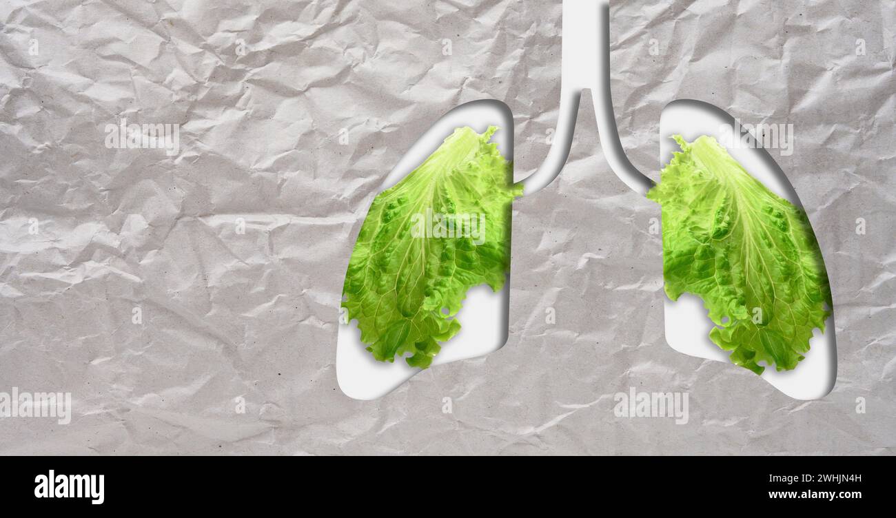 Grüne Blätter und ein ausgeschnittenes Lungenorgan. Konzept von Gesundheit, sauberer Luft und Verringerung schädlicher Emissionen in die Atmosphäre Stockfoto