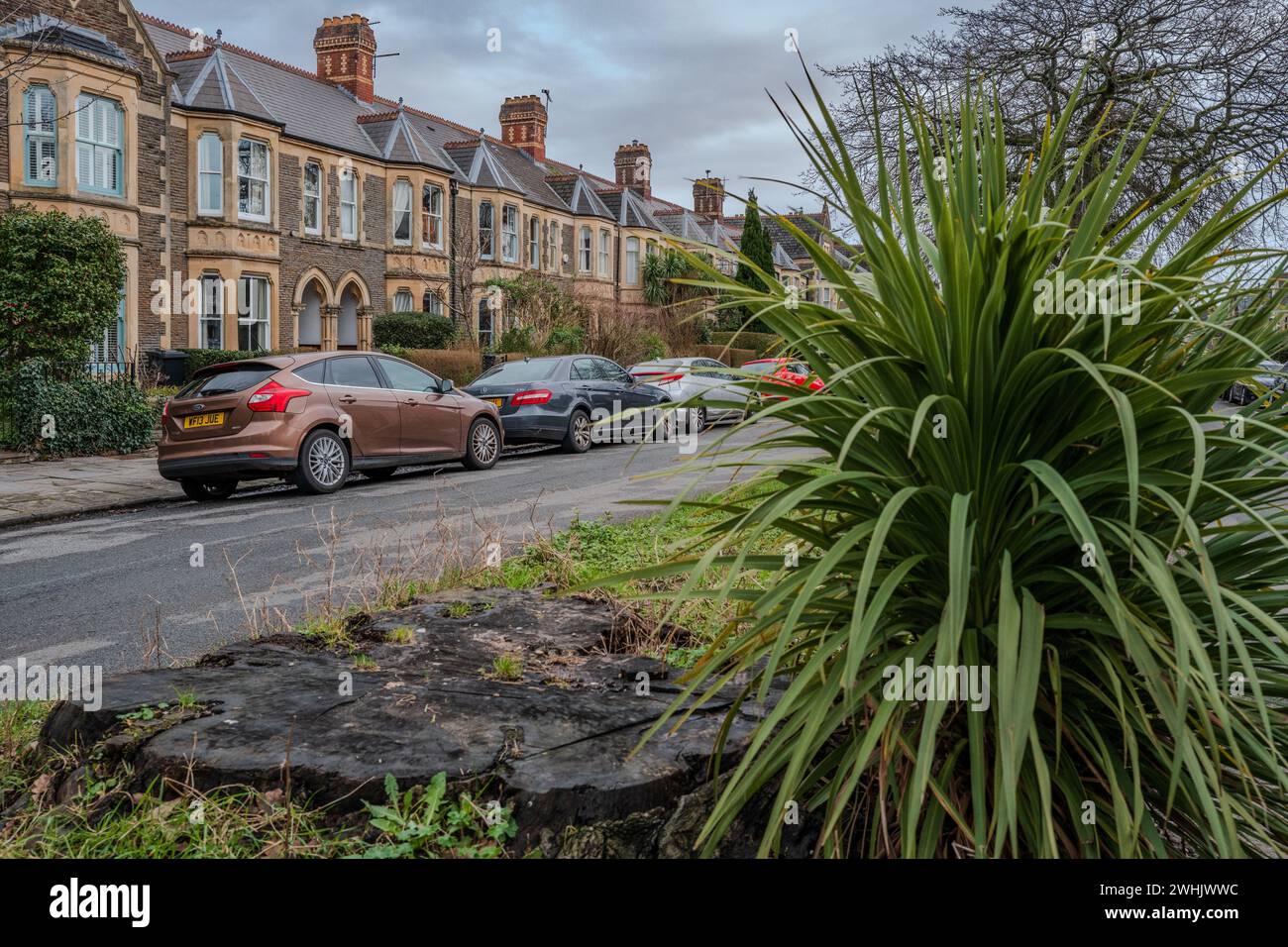 Reihe von Reihenhäusern in Pontcanna (gehobene Gegend), Cardiff. Britischer Wohnungsmarkt. Immobilienmarkt. Hypotheken. Konzept. Abstrakt. Unternehmen. Wirtschaftlichkeit. Stockfoto