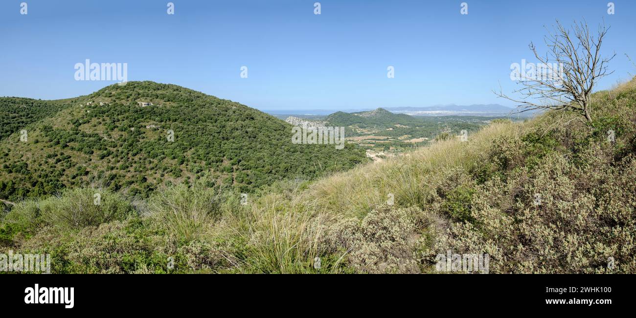 Wandern im Puig de Cura Stockfoto