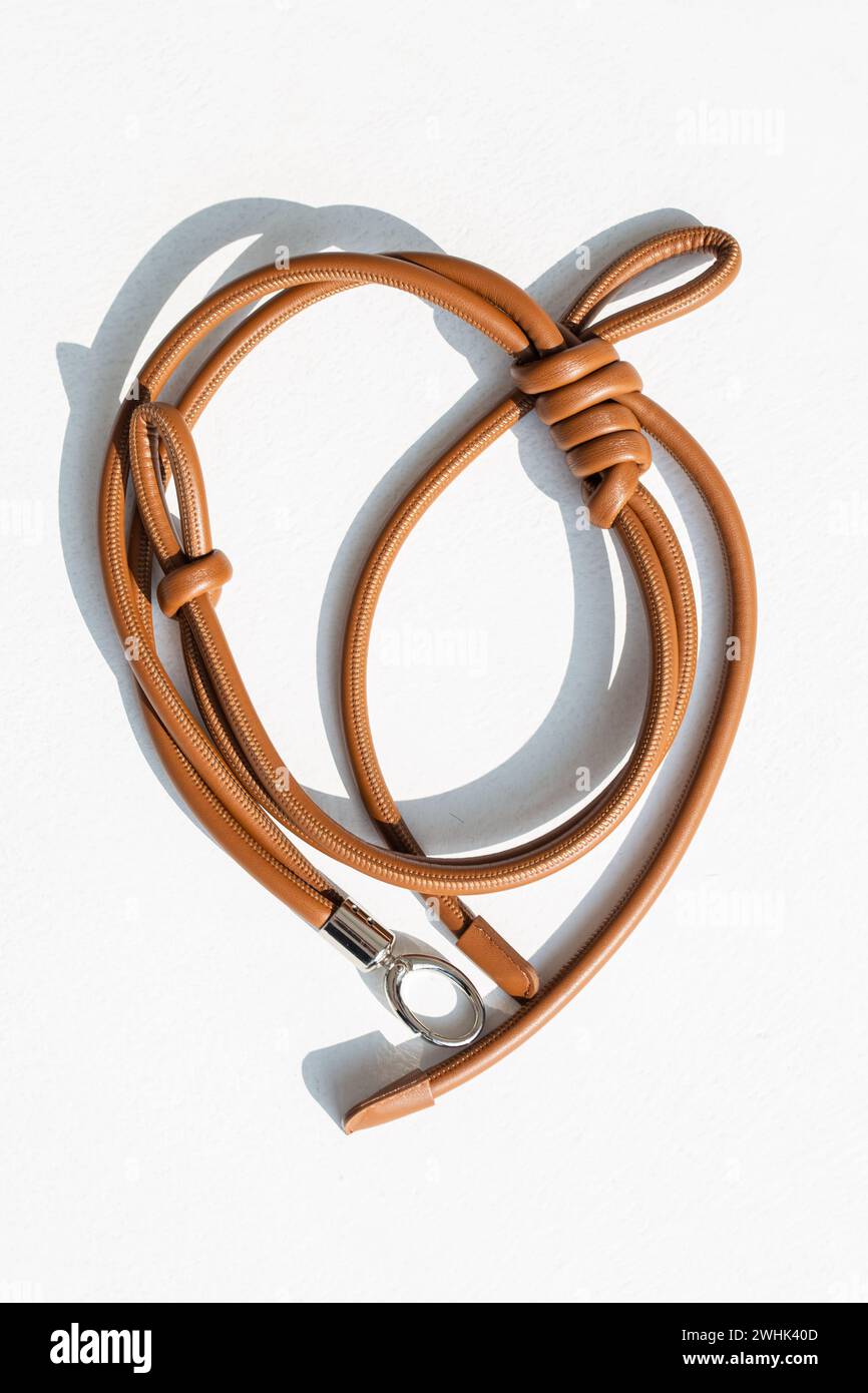 Dieser Trageriemen sorgt für Stil und Funktionalität. Hergestellt aus hochwertigem Leder, in verschiedenen Farben erhältlich und verstellbar für eine perfekte Passform. Perfekt Stockfoto