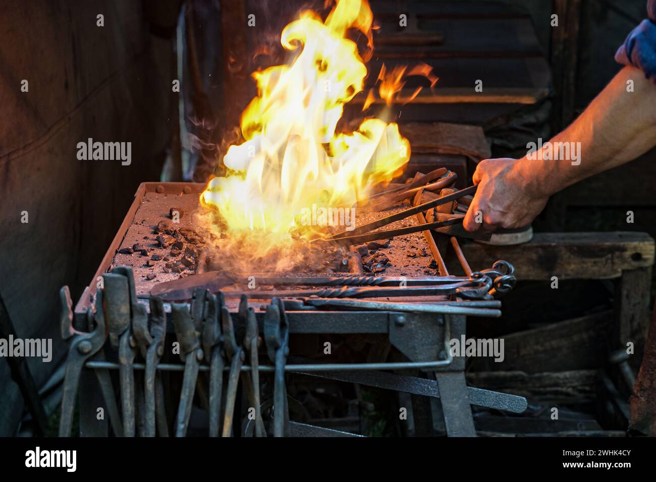 Der Schmied hält ein Werkstück im brennenden Kohlefeuer auf der Schmiede, um das Eisen zum Leuchten zu bringen, Kopierraum, ausgewählter Fokus Stockfoto